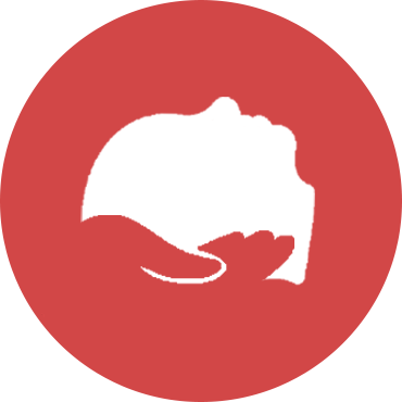 CranioSacraleSymbol Kopie CranioSacraleSymbol Kopie
